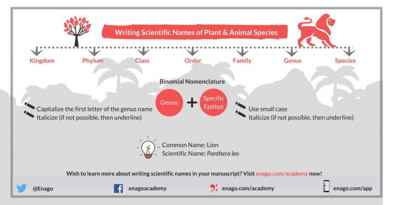 How To Make A Scientific Name For A Species