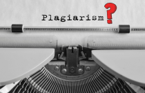 plagiarism detectors