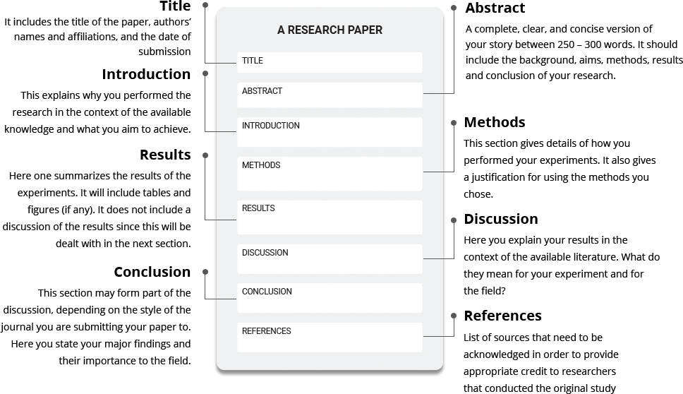 step to make research paper