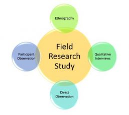 difference between research and field study