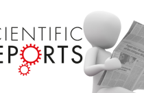 scientific reports news